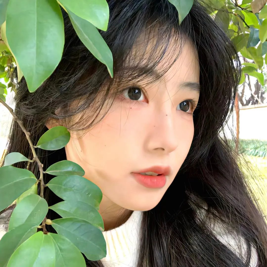 杜鹃花飞